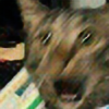 CodeKelly avatar