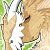DrawWithDizzy avatar
