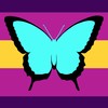 High-Def-Pride-Flags avatar