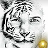 Mergorius avatar