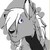 Mistyleopard avatar
