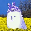 ScrollLockNumLock avatar