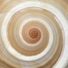ShellHusk avatar