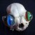 TigerMonkeyProject avatar