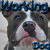 WorkingDogs avatar