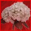 soundsofdeviance avatar